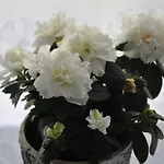J&t Wczasowe منزل للإقامة