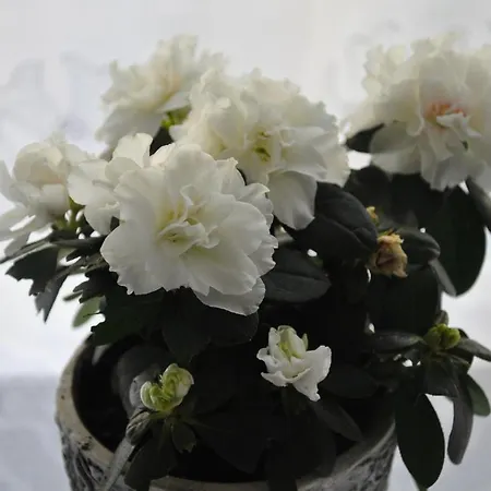 J&t Wczasowe Homestay