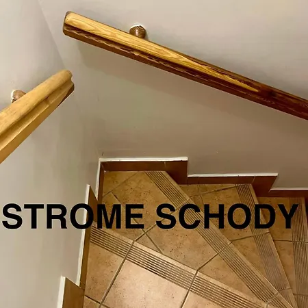 בית אירוח J&t Wczasowe קולובז'ג