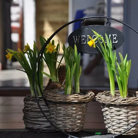 Homestay J&t Wczasowe Kolobrzeg